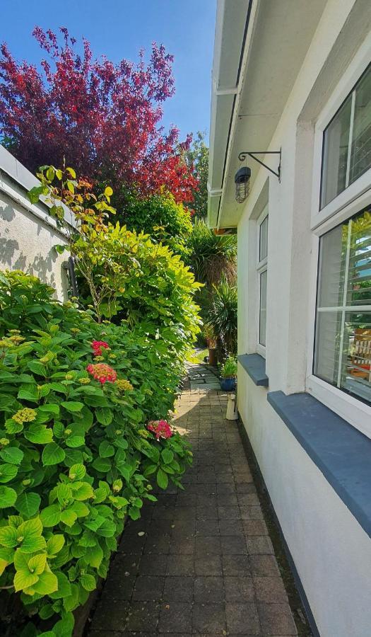 124 ,Castlelawn Heights, Headford Road Galway Homestay 外观 照片