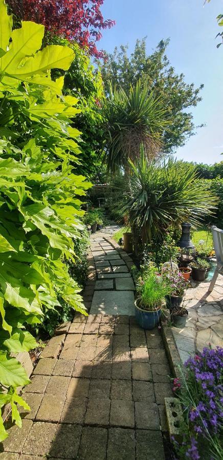 124 ,Castlelawn Heights, Headford Road Galway Homestay 外观 照片